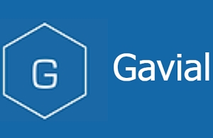 Gavial Holdings