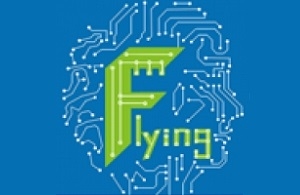 Shenzhen Flying Technology Co., Ltd