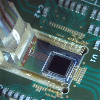 A Fully Packaged CWDM Silicon Photonics Module Delivering 100 Gb/s