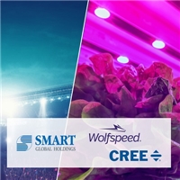 Cree Set to Sell Its LED Business to SMART Global Holdings for $300 Million