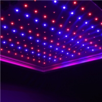 Würth Elektronik Introduces New Power-Saving LEDs for Horticulture Applications