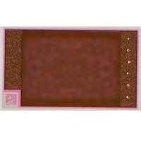 Laser Diode