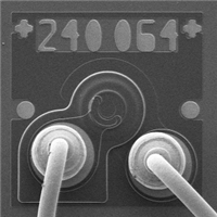 Laser Diode