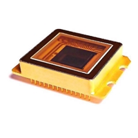 SWIR Sensor