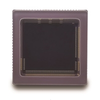 CMOS Image Sensor