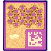 Laser Diode