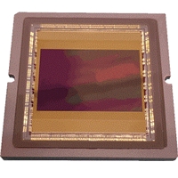 CMOS Image Sensor