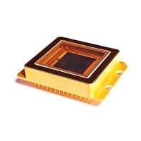 SWIR Sensor