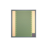 Laser Diode