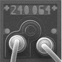 Laser Diode
