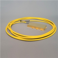 Laser Diode