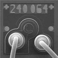Laser Diode