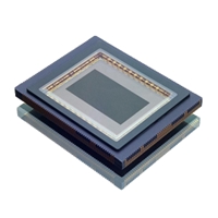 CMOS Image Sensor