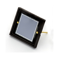 Photodiode