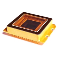 SWIR Sensor