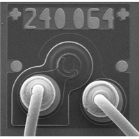 Laser Diode
