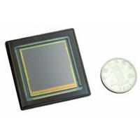 CMOS Image Sensor